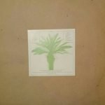George Mgrdichian, Mohammed El Akkad – Areej LP Plak - Görsel 2