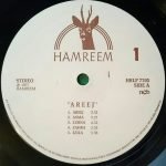 George Mgrdichian, Mohammed El Akkad – Areej LP Plak - Görsel 5