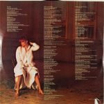 Carly Simon – Boys In The Trees LP Plak - Görsel 5