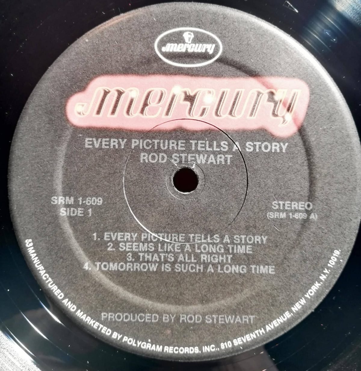 Rod Stewart – Every Picture Tells A Story LP Plak - Görsel 2
