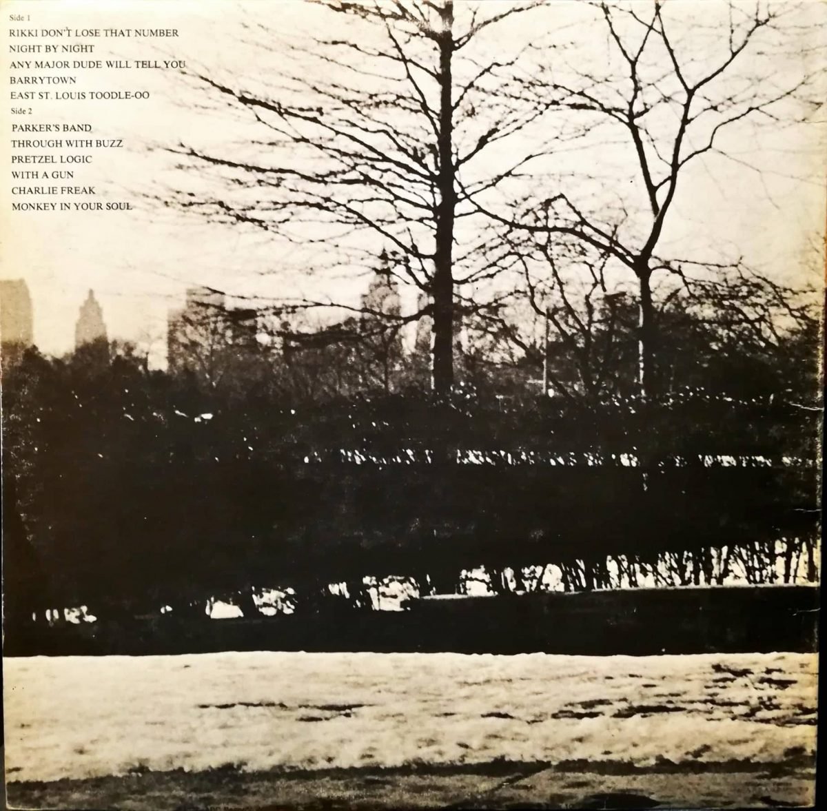 Steely Dan – Pretzel Logic LP Plak - Görsel 2