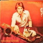 Andy Mackay – In Search Of Eddie Riff LP Plak