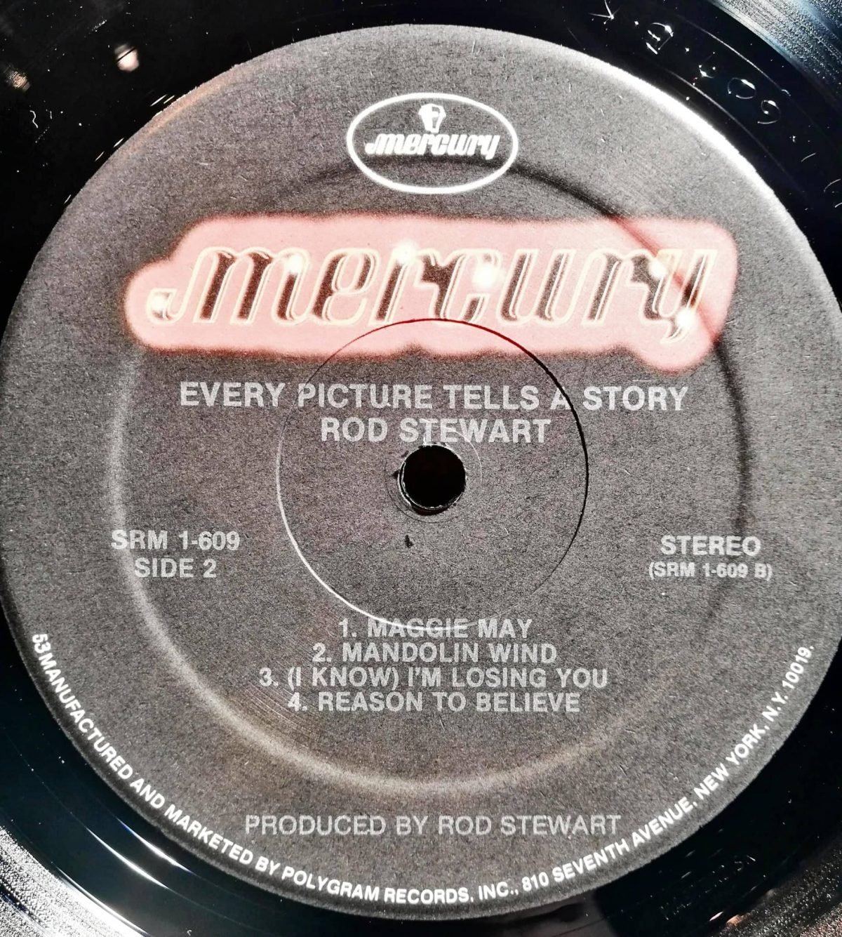 Rod Stewart – Every Picture Tells A Story LP Plak - Görsel 3