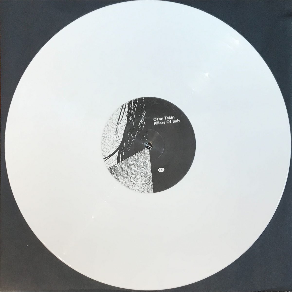 Ozan Tekin – Pillars Of Salt LP Renkli Plak (Ambient) - Görsel 2