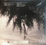 Dark Pulse - Audioban Selections: New Era Of Turkish Dark Scene LP Plak (Glow In The Dark Vinyl) - Görsel 2