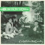 Bow Wow Wow – Go Wild In The Country 45lik Plak