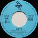 Erasure – Star 45lik Plak - Görsel 3