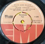 Jesse Green ‎– Nice & Slow 45lik Plak (Yerli Baskı) - Görsel 2