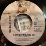 The Beach Boys – Good Timin' 45lik Plak - Görsel 2