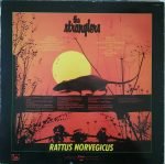 The Stranglers – Stranglers IV (Rattus Norvegicus) LP Plak - Görsel 4