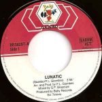 Gazebo – Lunatic 45lik Plak - Görsel 2