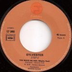 Sylvester – You Make Me Feel 45lik Plak - Görsel 2