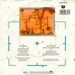 Duran Duran – The Wild Boys 45lik Plak - Görsel 3