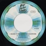 Marvin Gaye – I Heard It Through The Grapevine / What's Going On 45lik Plak - Görsel 2