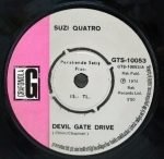 Suzi Quatro – Devil Gate Drive 45lik Plak (Türk Baskı) - Görsel 2