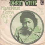 Barry White ‎– Never, Never Gonna Give Ya Up 45lik Plak (Yerli Baskı)