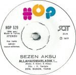 Sezen Aksu ‎– Allahaısmarladık / Kaç Yıl Geçti Aradan 45lik Plak - Görsel 3