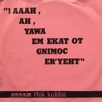 Napoleon XIV – They're Coming To Take Me Away, Ha-Haaa! 45lik Plak (Yerli Baskı) - Görsel 2