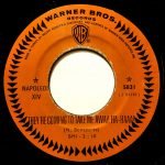 Napoleon XIV – They're Coming To Take Me Away, Ha-Haaa! 45lik Plak (Yerli Baskı) - Görsel 3