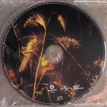 Anna Maria Jopek & Pat Metheny – Upojenie CD - Görsel 3