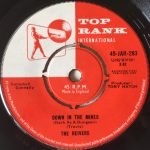 The Reivers – Down In The Mines (Dark As A Dungeon) 45lik Plak