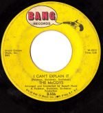 The McCoys – Hang On Sloopy 45lik Plak - Görsel 2