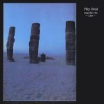 Play Dead – Into The Fire ~ Live ~ LP Plak