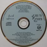 David Sylvian – Gone To Earth CD - Görsel 3