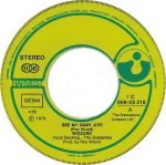 Wizzard – See My Baby Jive 45lik Plak - Görsel 2