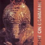 Wadge / Shit On Command – Wadge / Shit On Command 45lik Plak (GRINDCORE)
