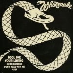 Whitesnake – Fool For Your Loving 45lik Plak