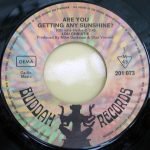 Lou Christie – Are You Getting Any Sunshine? 45lik Plak - Görsel 2