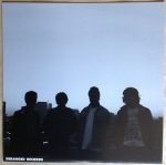 Molested Youth – Molested Youth 45lik Plak (PUNK) - Görsel 4