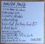 Molested Youth – Molested Youth 45lik Plak (PUNK) - Görsel 3