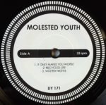 Molested Youth – Molested Youth 45lik Plak (PUNK) - Görsel 2