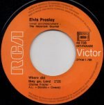 Elvis – Where Did They Go, Lord 45lik Plak - Görsel 2