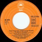 The Jacksons – Shake Your Body (Down To The Ground) 45lik Plak - Görsel 2