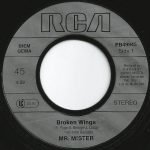 Mr. Mister – Broken Wings 45lik Plak - Görsel 2