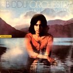 Biddu Orchestra – Blue-Eyed Soul LP Plak