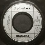 Niagara – J'ai Vu 45lik Plak - Görsel 2