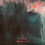 Die Wilde Jagd – Uhrwald Orange 2LP Plak
