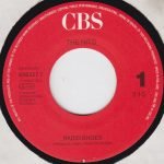 Nits – Radio Shoes 45lik Plak - Görsel 2