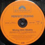 Perfect Zebras – Mixing With Wildlife LP Plak - Görsel 5