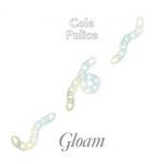Cole Pulice – Gloam LP Plak