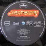 Rainbirds LP Plak - Görsel 3