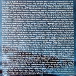 Rainbirds LP Plak - Görsel 6