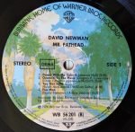David Newman – Mr. Fathead LP Plak - Görsel 3