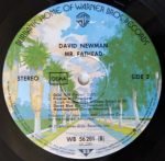 David Newman – Mr. Fathead LP Plak - Görsel 4