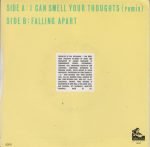 The Leather Nun – I Can Smell Your Thoughts 45lik Plak - Görsel 3