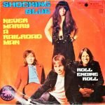 Shocking Blue – Never Marry A Railroad Man 45lik Plak